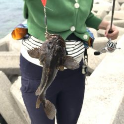 ブラクリムラソイ！