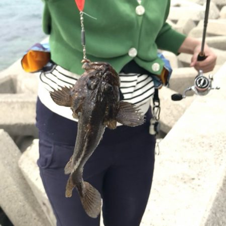 ブラクリムラソイ！