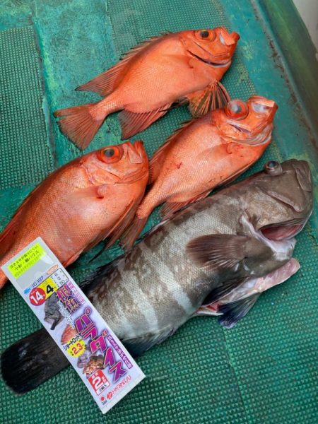 根魚五目釣り☆