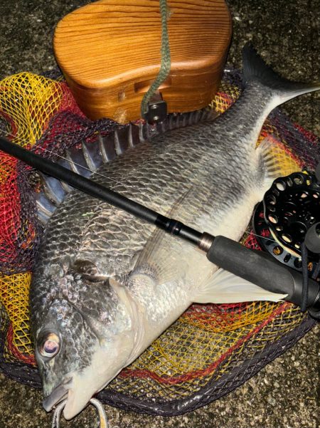 ヘチってきました