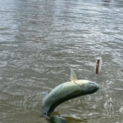 3月なのに今期1番寒い日釣行