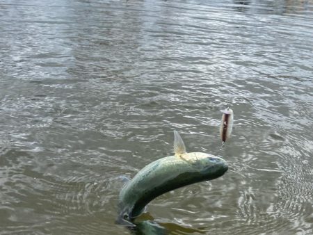 3月なのに今期1番寒い日釣行