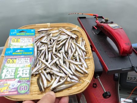 愛知県入鹿池ボート ワカサギ釣り！