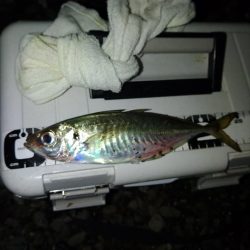 フロートゲーム～