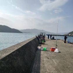 サゴシ狙いでしたが