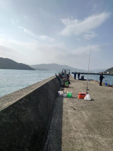 サゴシ狙いでしたが