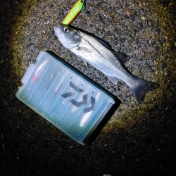 なんとかセイゴ