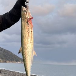 今年初のショアジギ