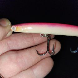 バチ抜け調査🎣