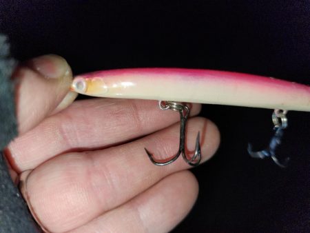 バチ抜け調査🎣