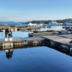 サーモンコーナー