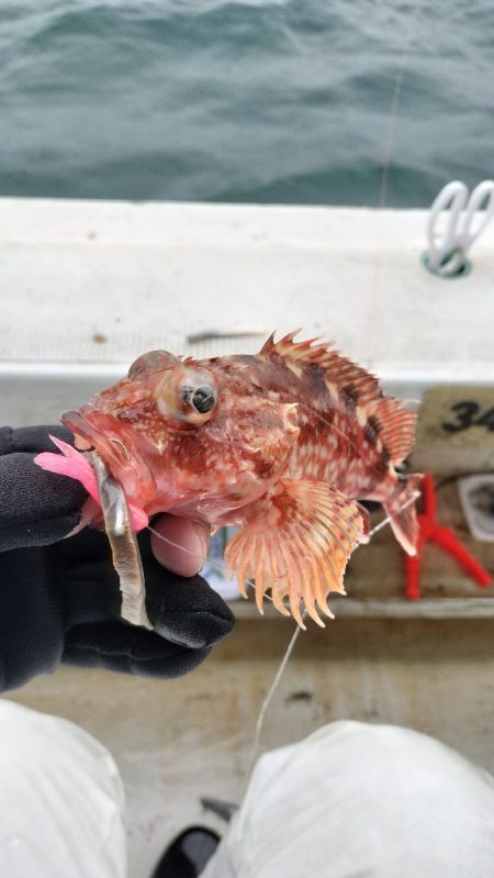 加太沖で五目便