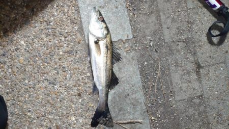 やっとオフかな？