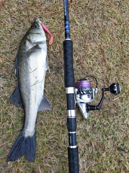 雨降る中ベイトが接岸