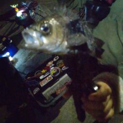 今年初のファミリーフィッシング