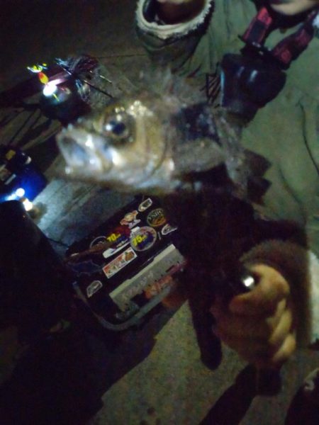 今年初のファミリーフィッシング