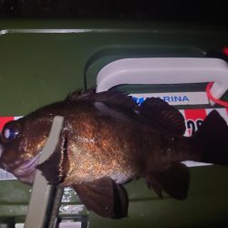 皆さんでわいわいメバリング🎣