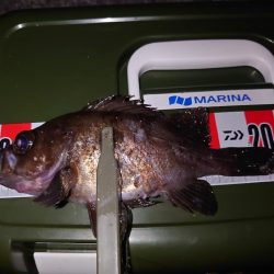 短時間メバリング