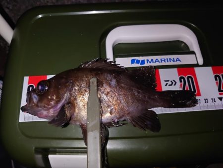 短時間メバリング