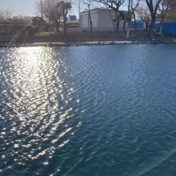 釣食浪漫 ～風は強いが活性高し！～