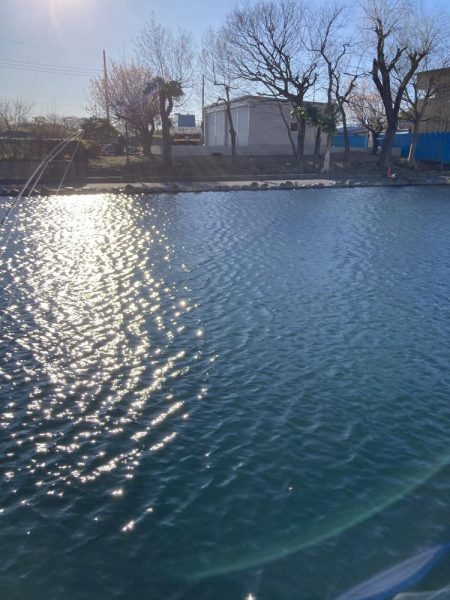 釣食浪漫 ～風は強いが活性高し！～