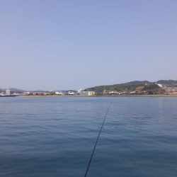 春シーズン到来です。