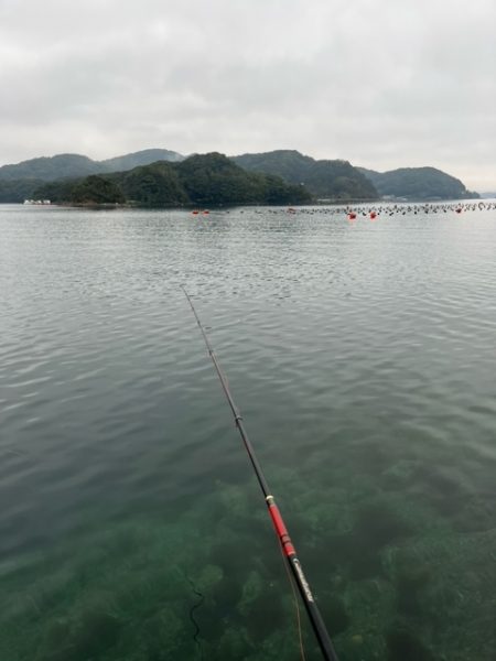 ノッコミのチヌを釣る予定でしたが結果は出ず