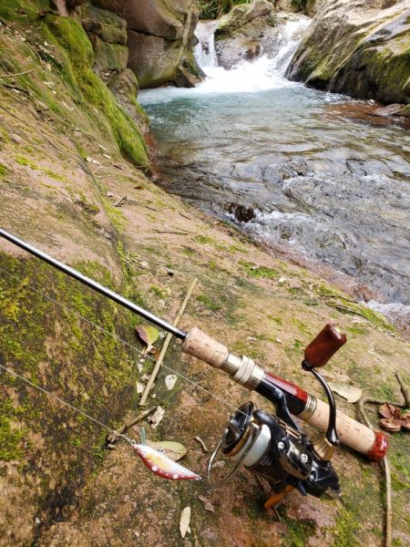 ヤマメは何処へ