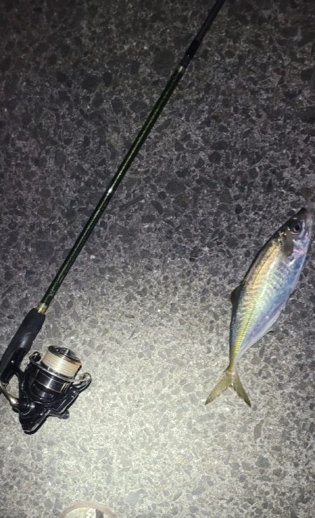 ライトゲーム、やってみました！