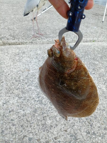 最後にドラマが