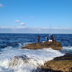 和歌山市江（吉丸渡船）でグレ釣り