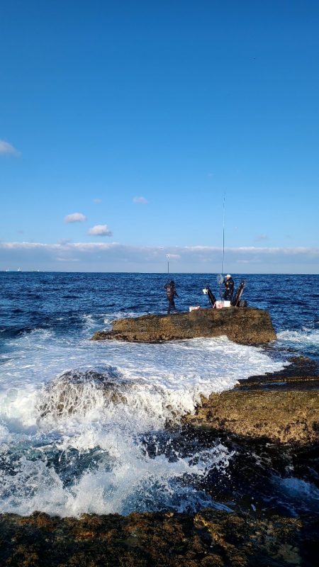 和歌山市江（吉丸渡船）でグレ釣り