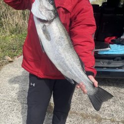 ヒラスズキ狙い