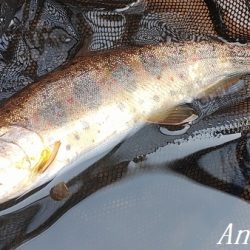 2024年、揖保川解禁!