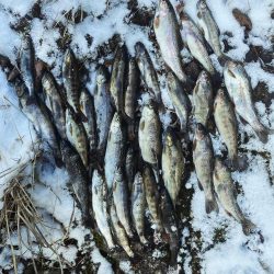 待ちに待った解禁！