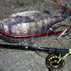 2024/03/07 南港ヘチ釣り釣行