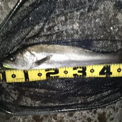 最後に何とかヒット…