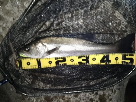 最後に何とかヒット…