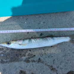 久しぶりの釣行