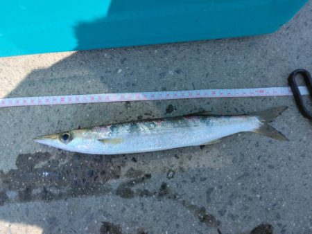 久しぶりの釣行