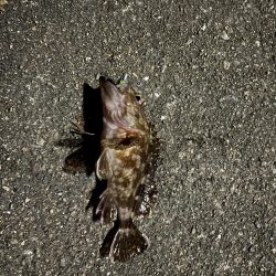 春はまだかなぁ？