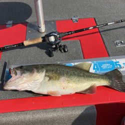 ひさびさ北山田50