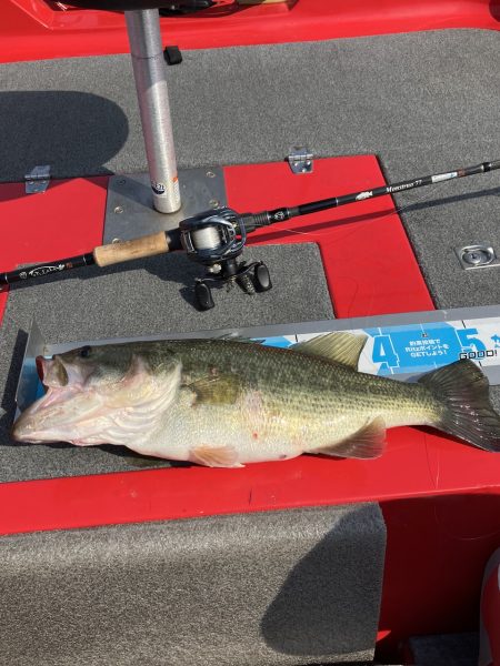 ひさびさ北山田50