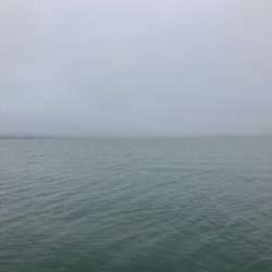 雨の北山田46cm 36cm