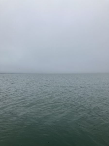 雨の北山田46cm 36cm