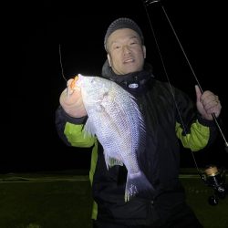 チニングの季節になってきました