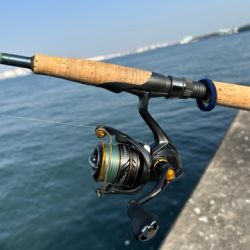 本日の沖波止は?