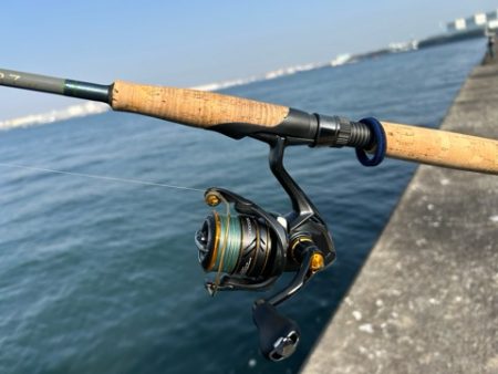 本日の沖波止は?