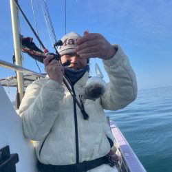 室津カットウフグ