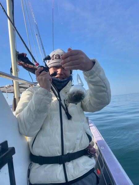 室津カットウフグ